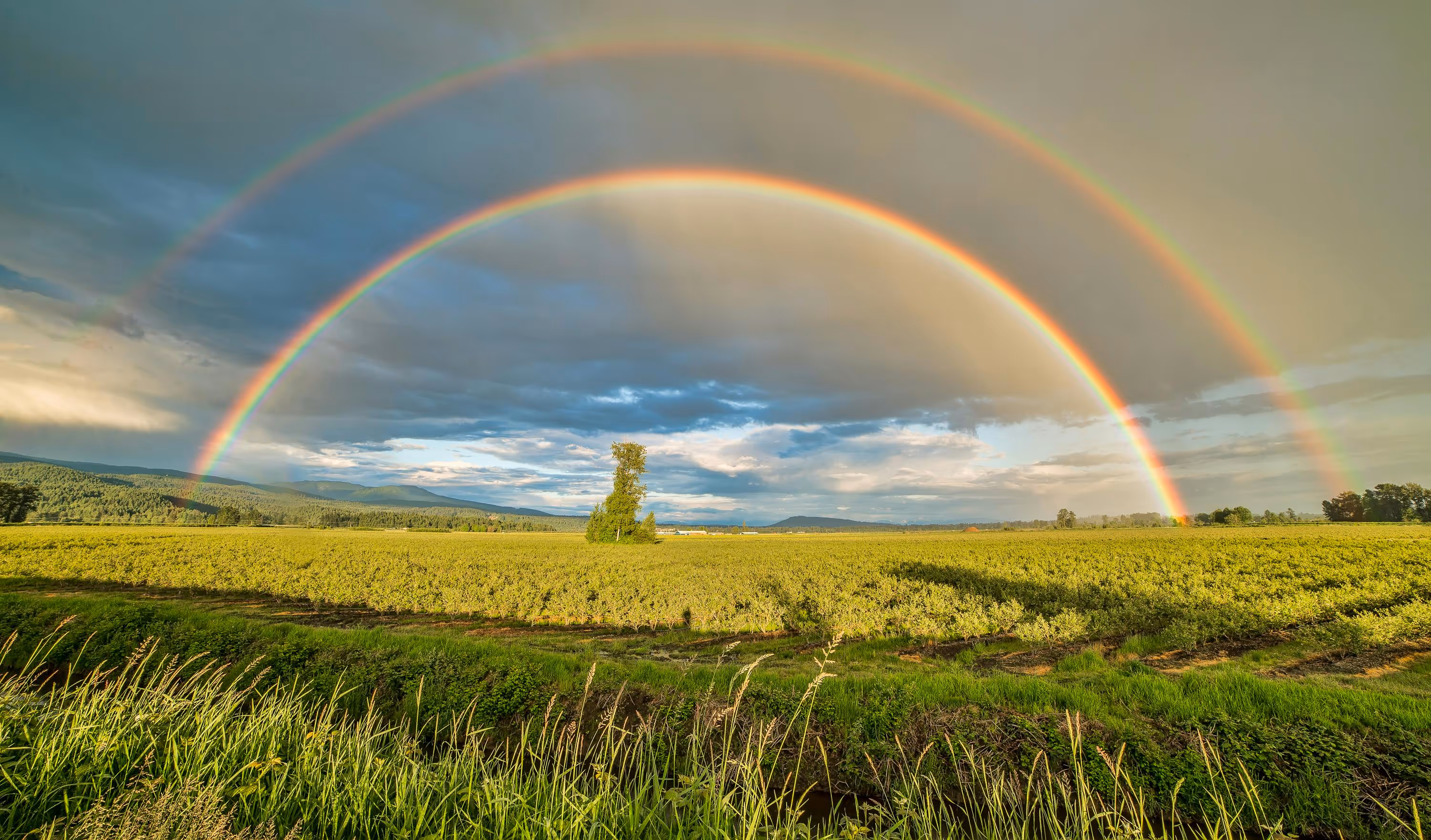Sustainable Farming Guide - RegenZ