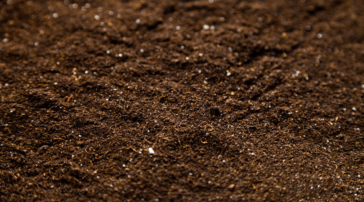Background of soil - RegenZ