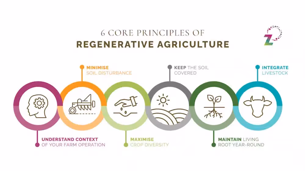 Principles of Regenerative Agriculture Infographic - RegenZ