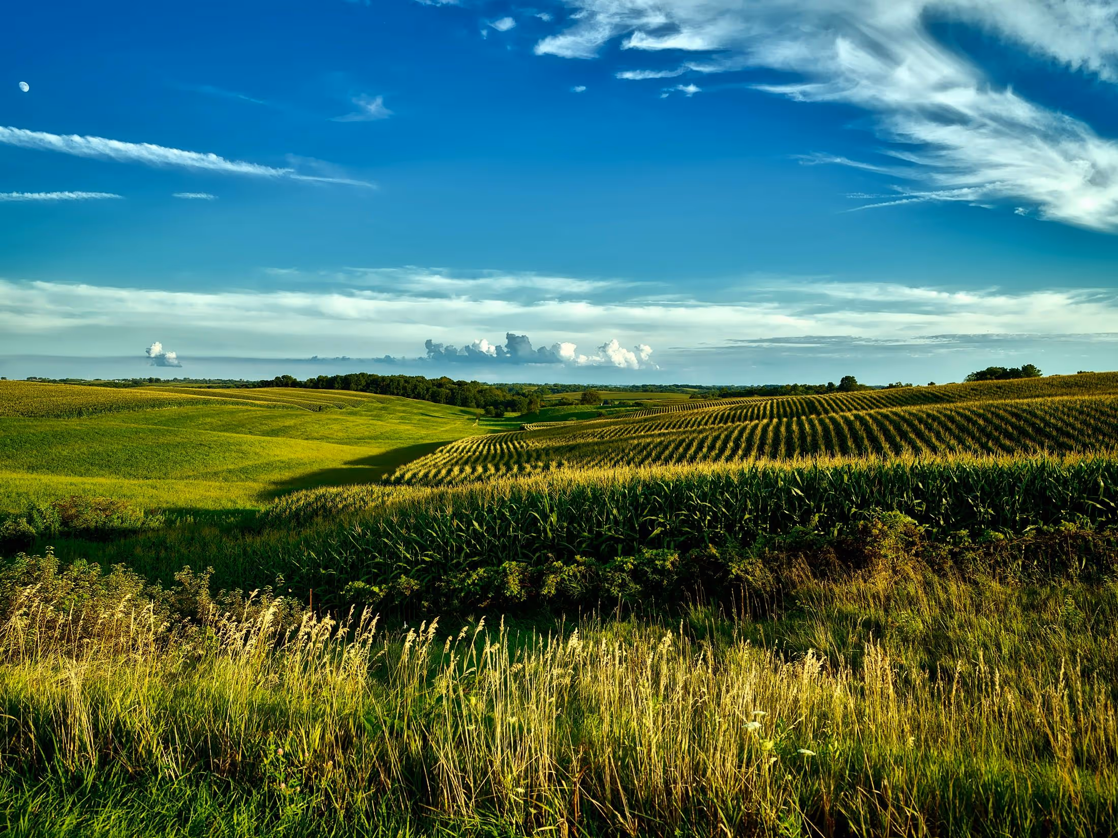 Precision Agriculture in South Africa