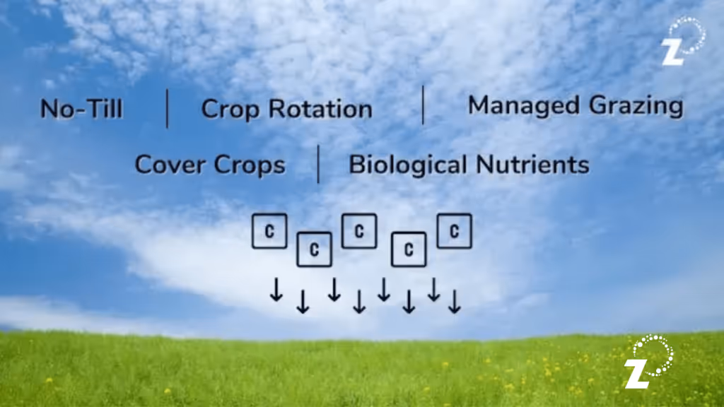 Carbon Drawdown & Regenerative Agriculture