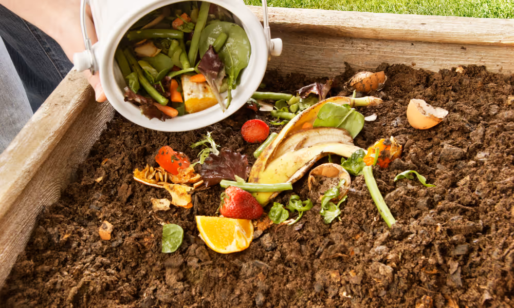 Protect and Restore Your Soil with Beyond Soil Life