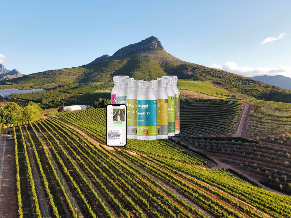Protect and Restore Your Soil with Beyond Soil Life