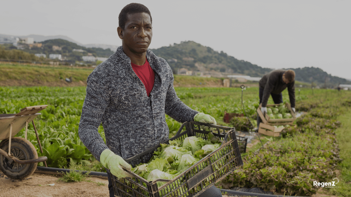 Why South African Manufacturers Are Turning to Smallholder Farmers: And Why It's Changing Agriculture