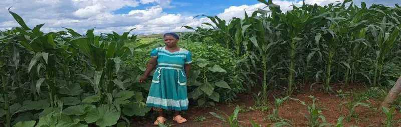 Lungile Dladla standing in front of maize, pumpkin and cover crop strips in her CA trial