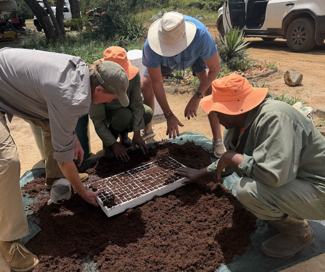 Past, Present, and Future of Regenerative Agriculture in South Africa
