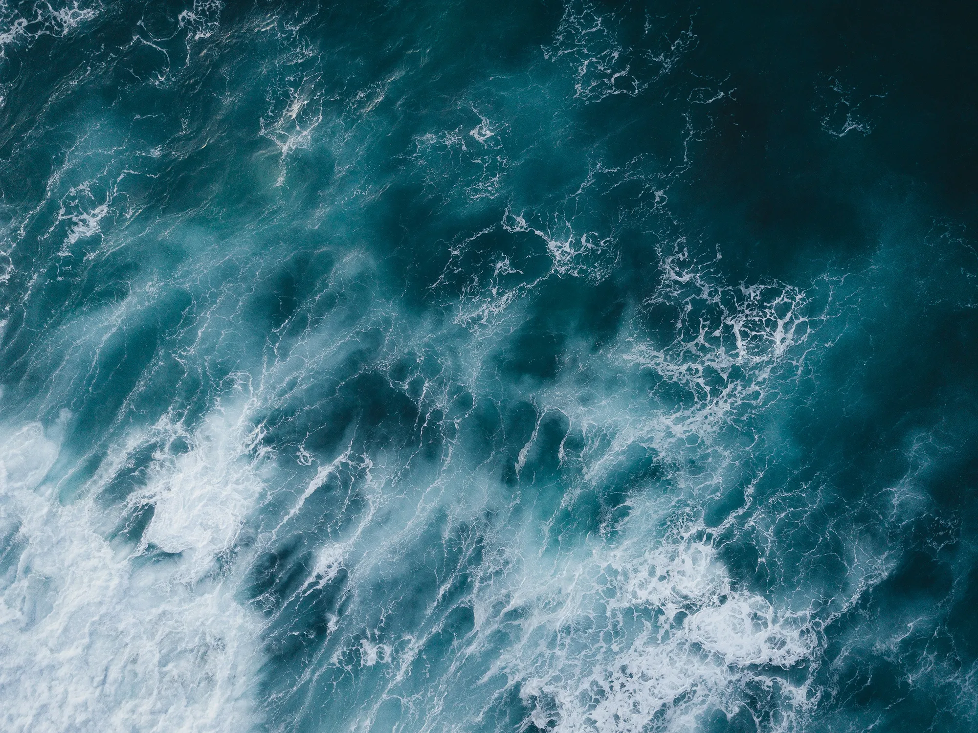 Employees at the office sending paper planes