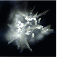 Cell before dynamization