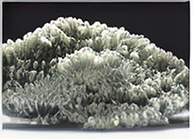 Example of Aragonite 1