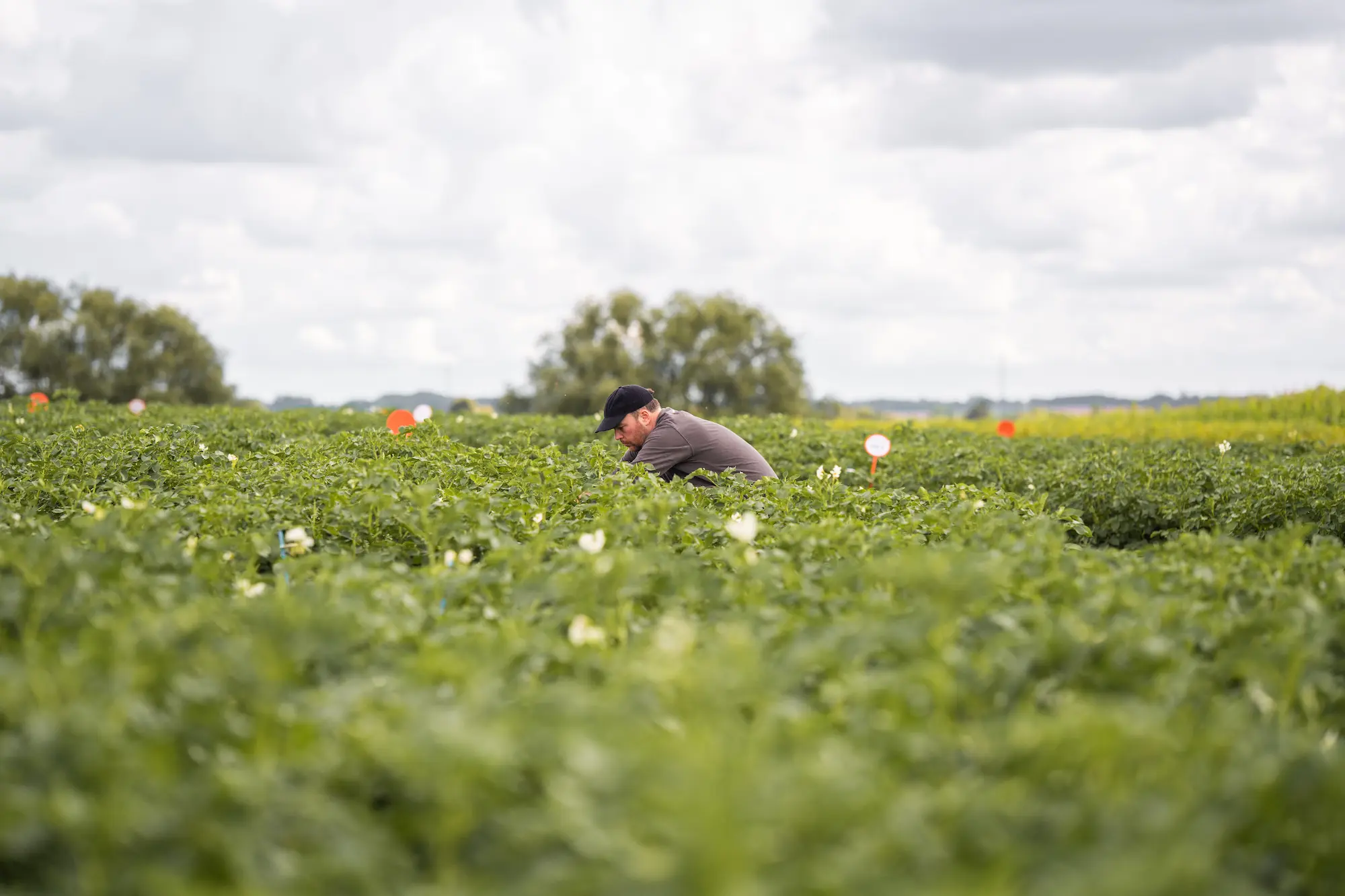 Real-world field trials