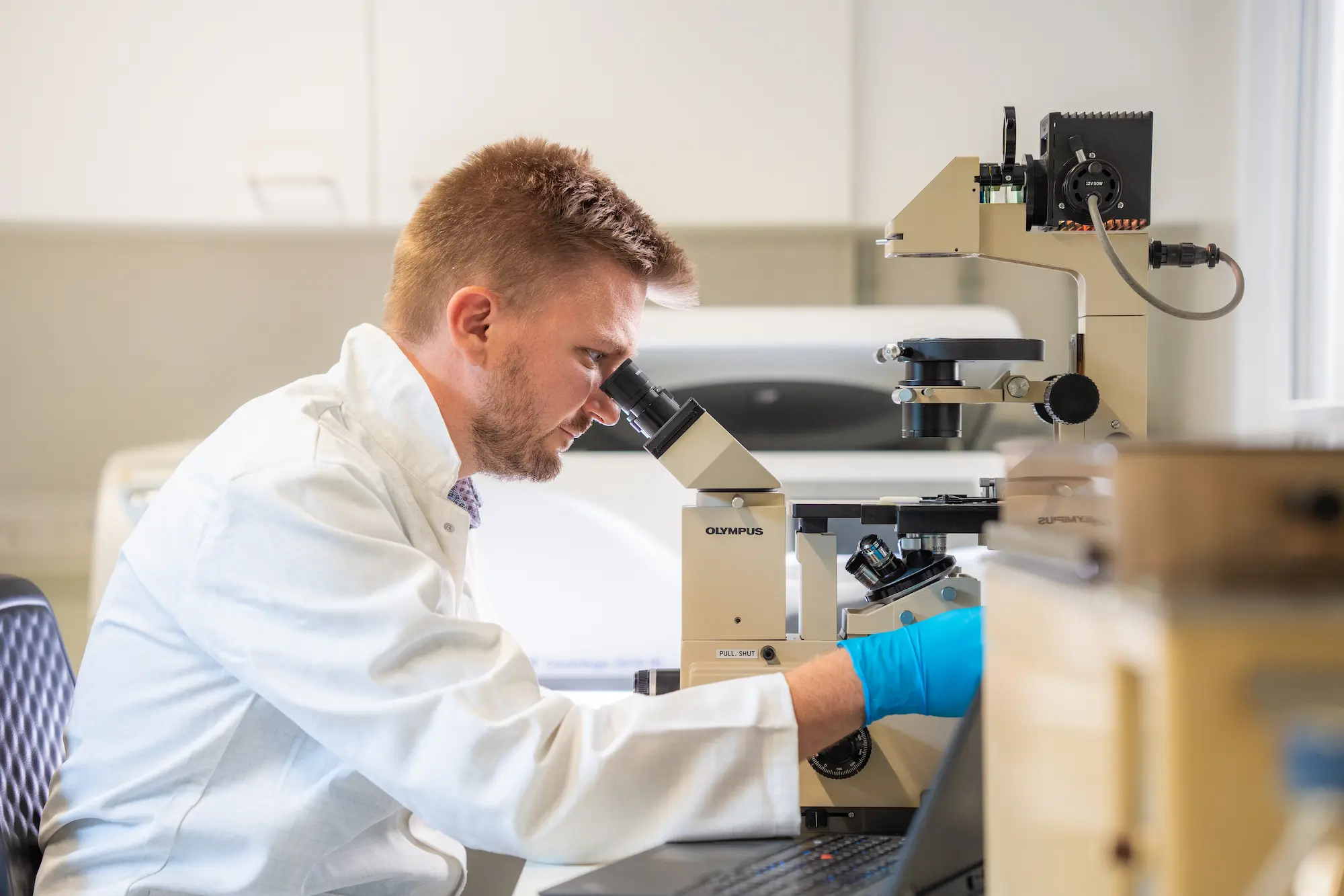 research at the plant health on laboratory