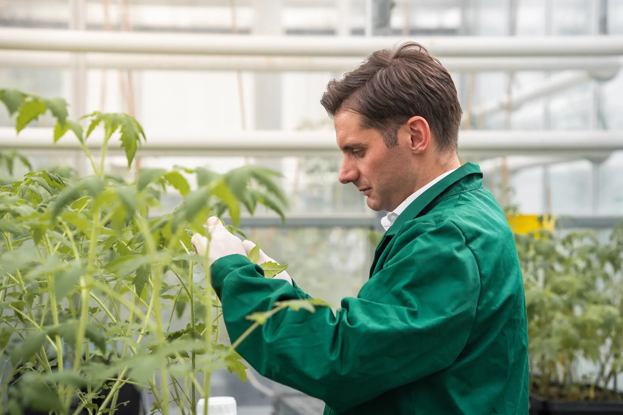 Testing our solutions