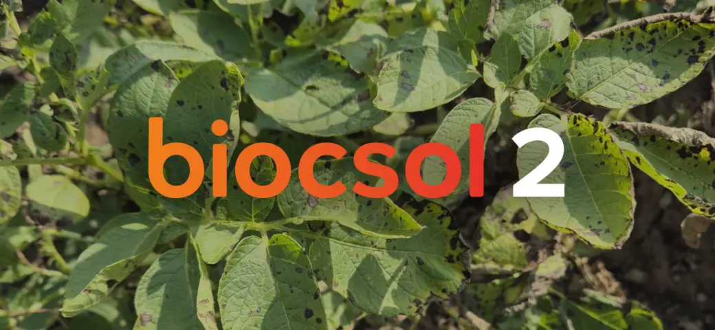 Biofungicide for potato