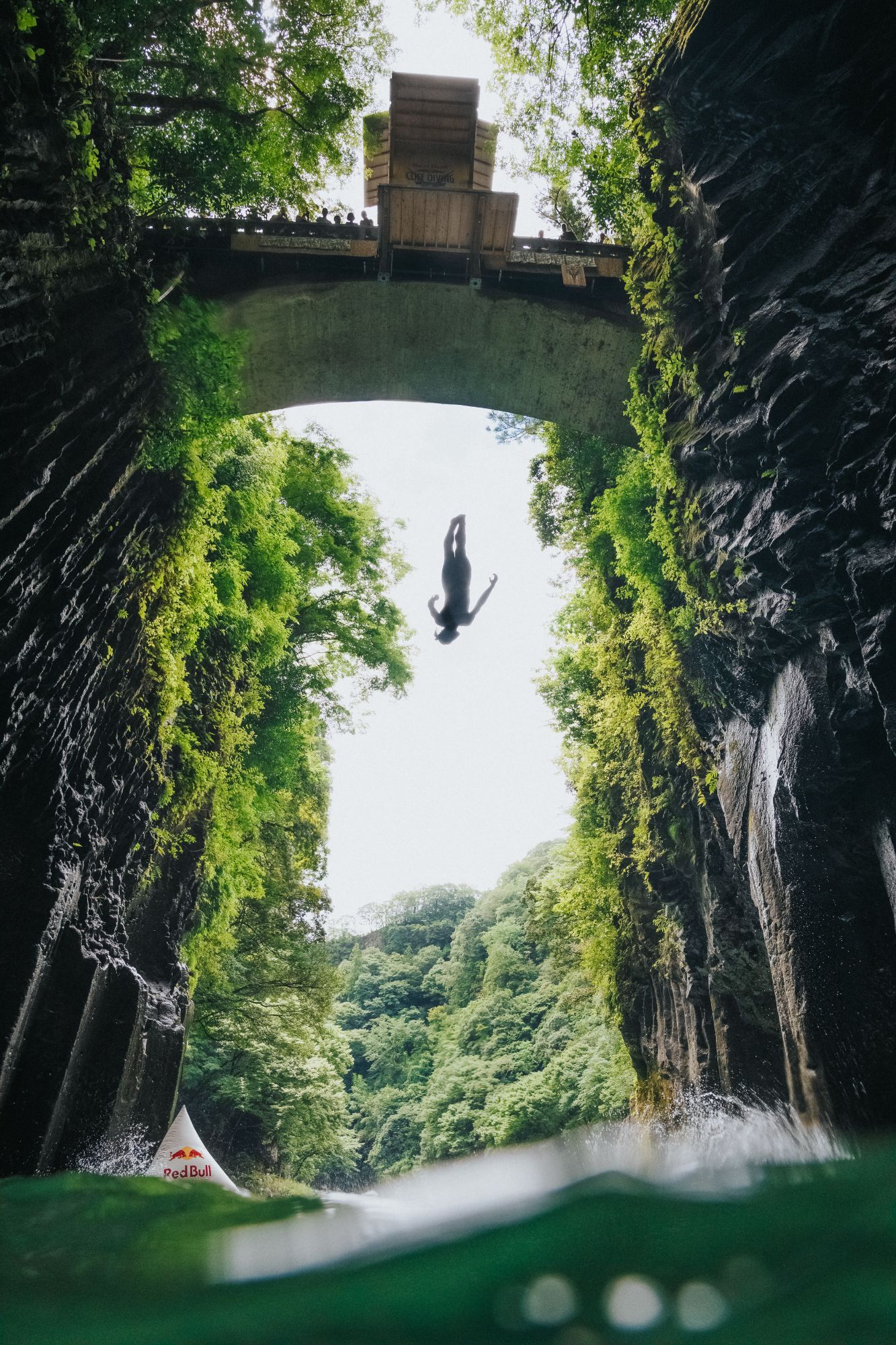 A person jumping from a bridge with vegetation around.