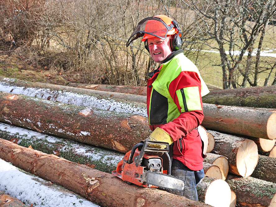 Holzfäller bei der Arbeit