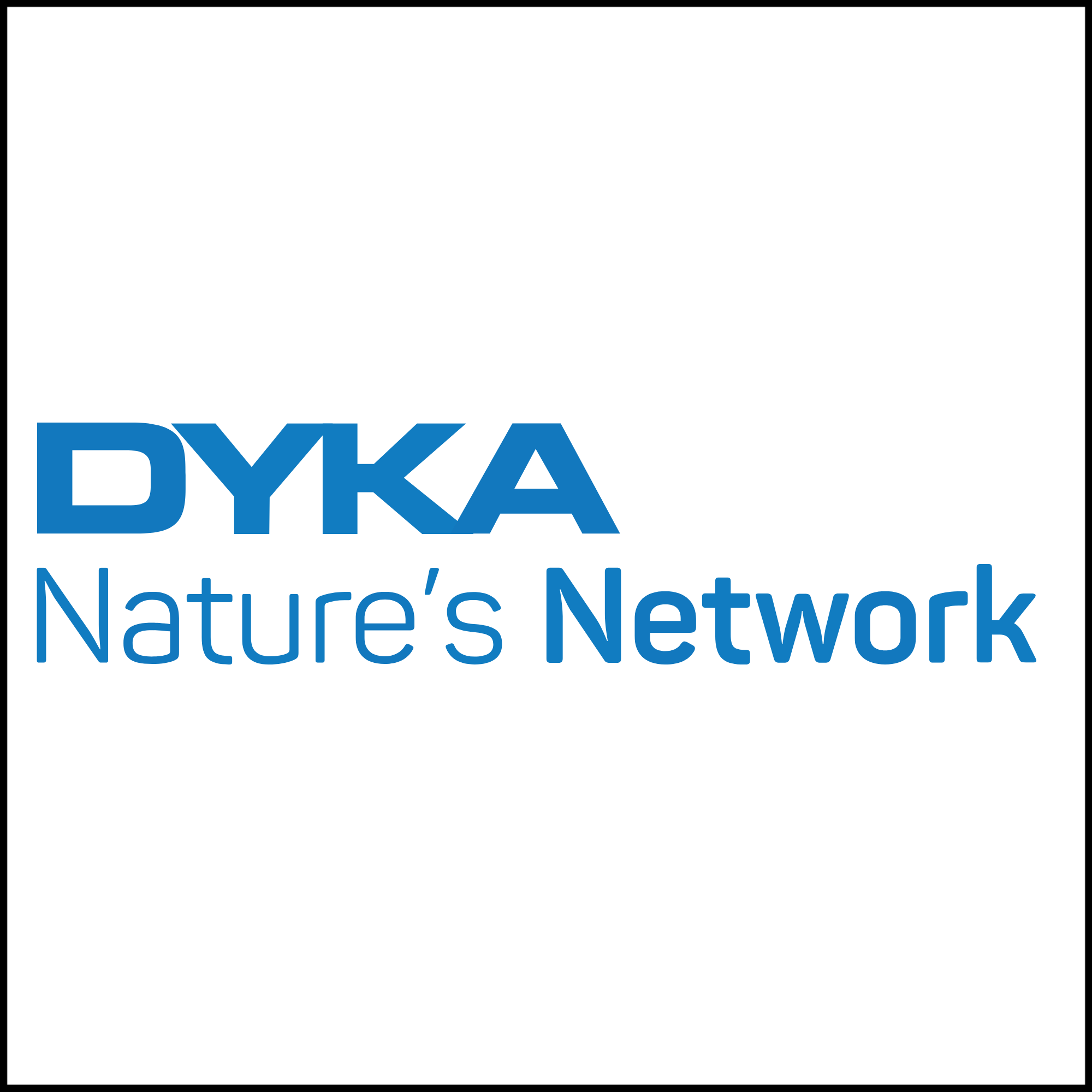 Dyka
