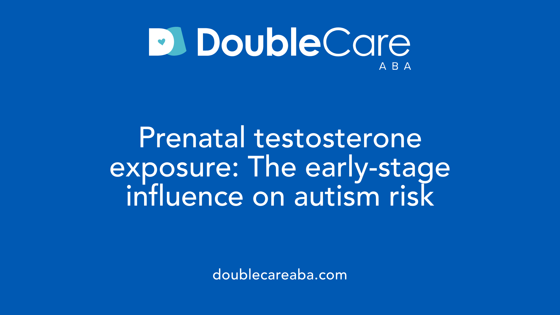 Prenatal testosterone exposure: The early-stage influence on autism risk