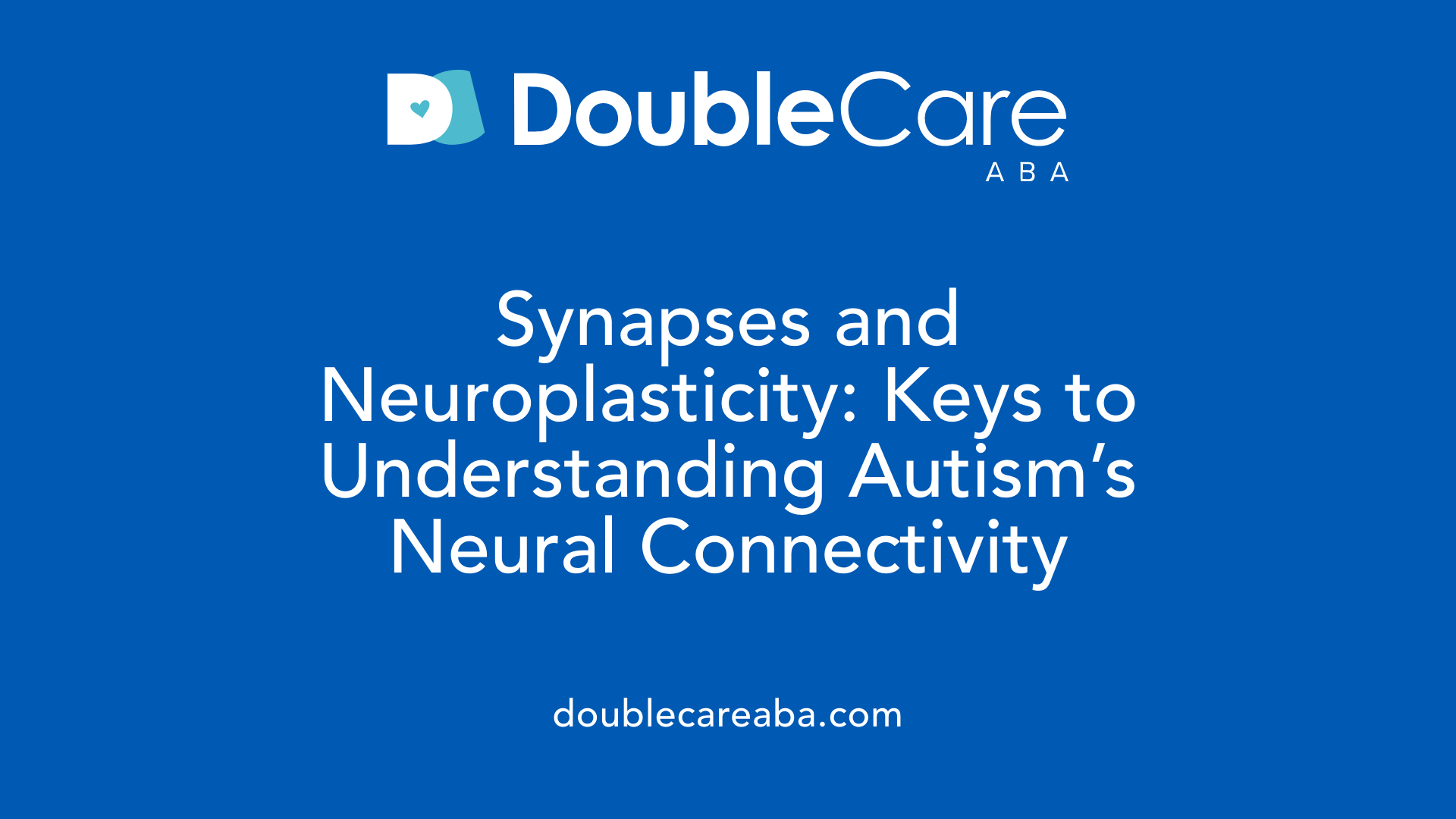 Synapses and Neuroplasticity: Keys to Understanding Autism’s Neural Connectivity