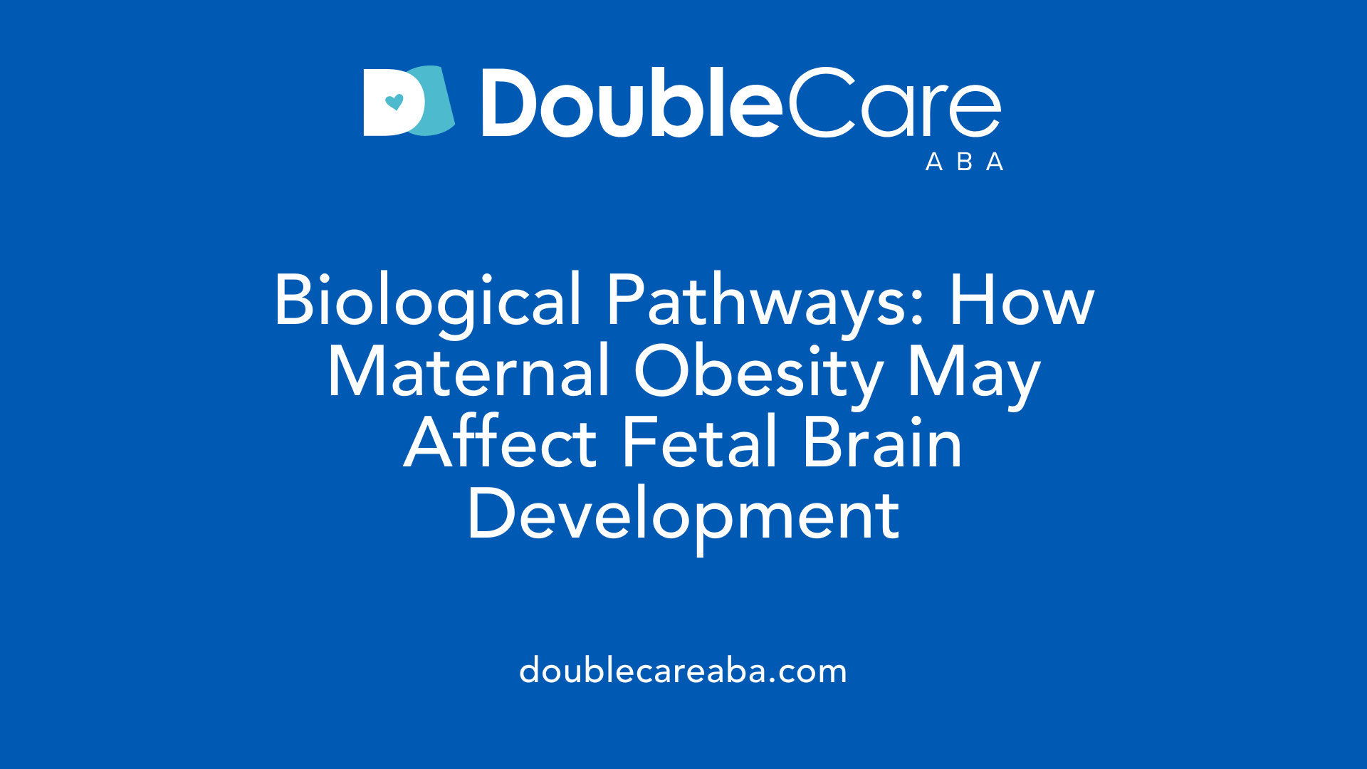 Biological Pathways: How Maternal Obesity May Affect Fetal Brain Development
