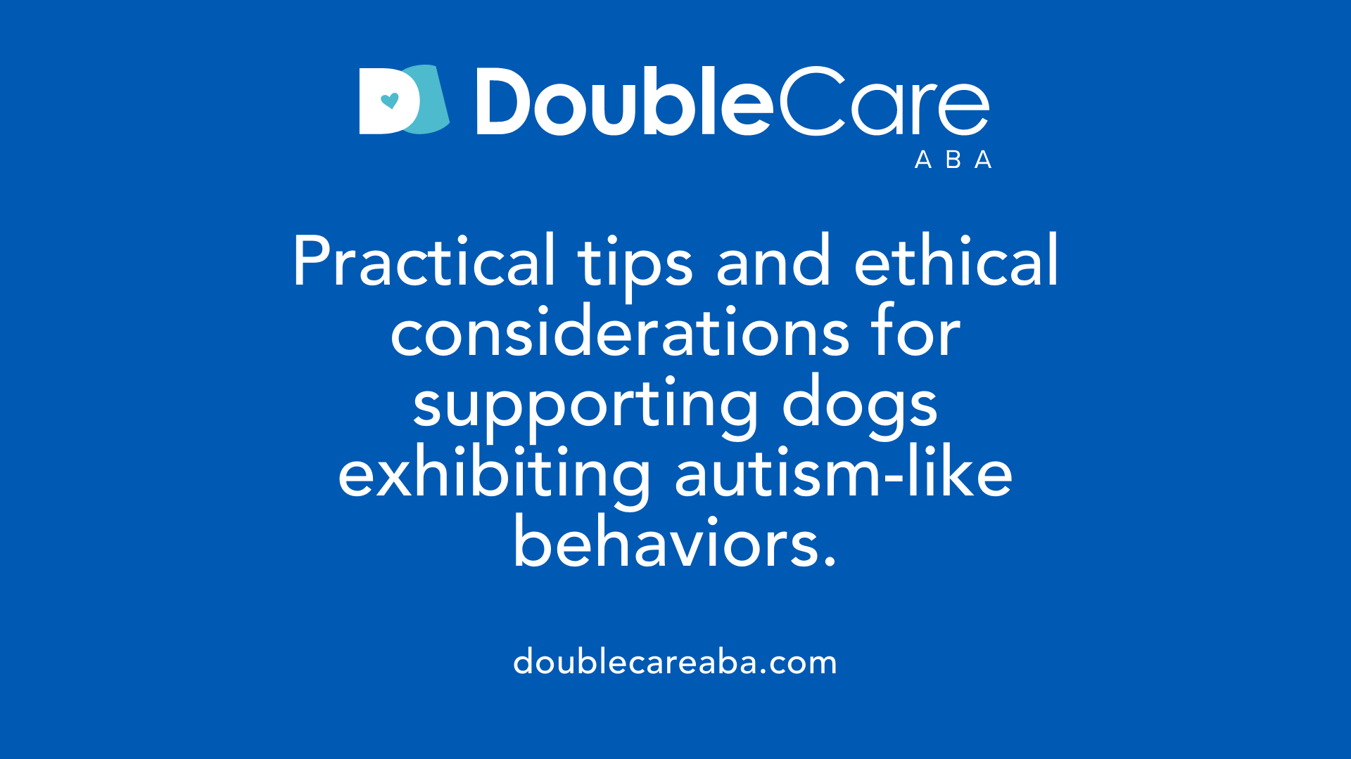 Practical tips and ethical considerations for supporting dogs exhibiting autism-like behaviors.