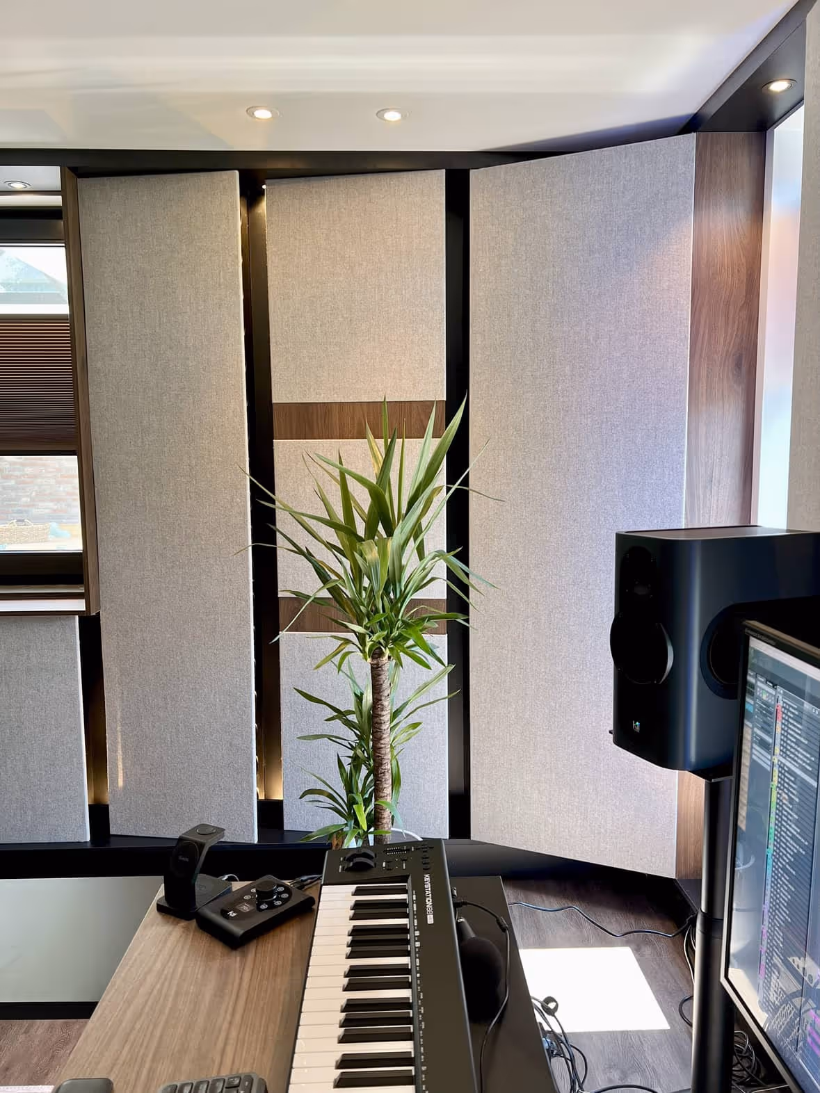 Detail photo of the acoustics of the studio and the main desk