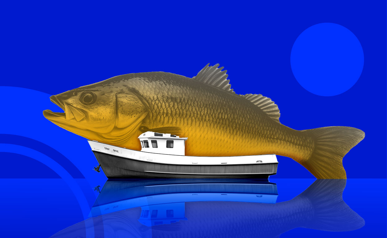 fishing boat hauling enormous fish