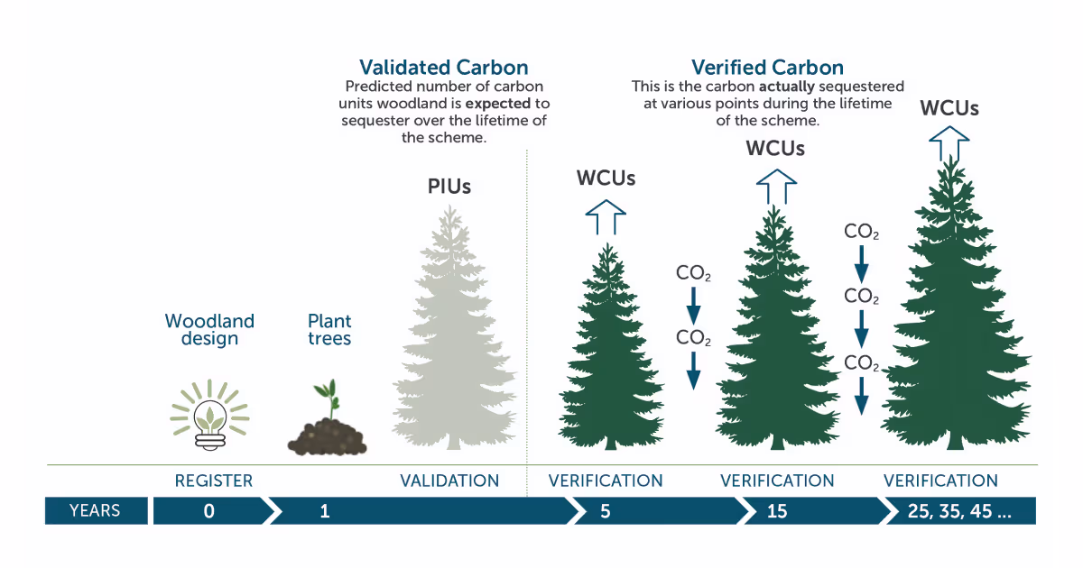 Woodland Carbon Code