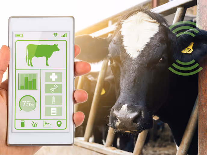 automated farming