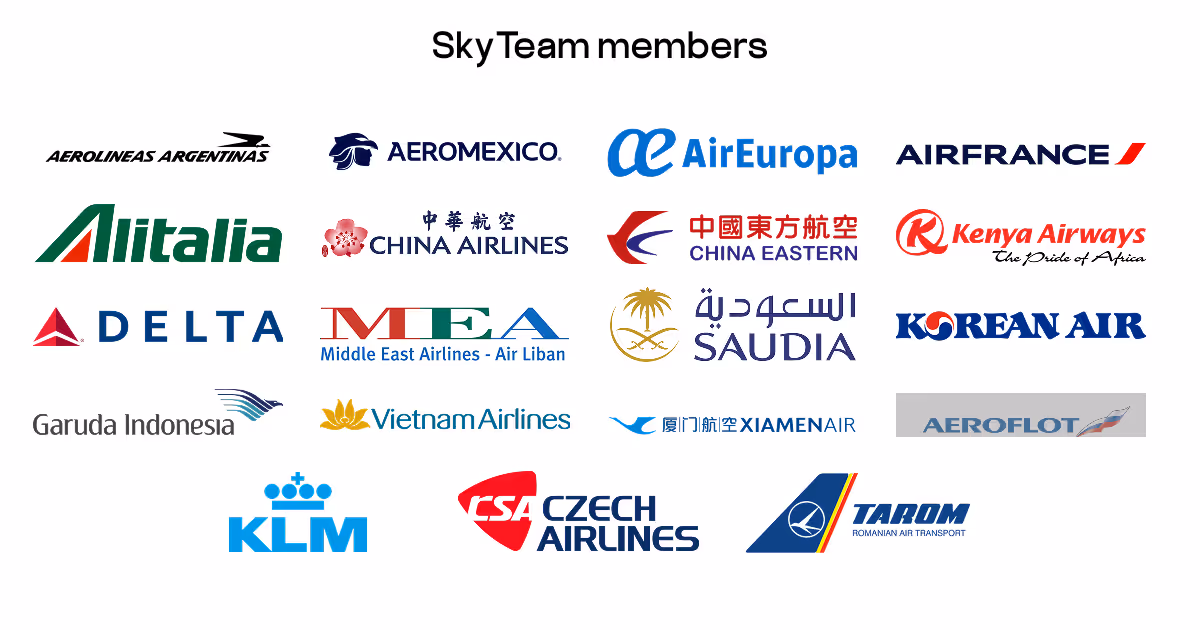 SkyTeam members