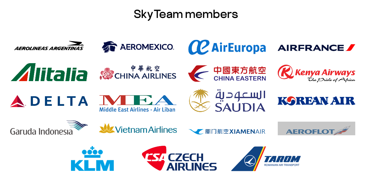 SkyTeam members