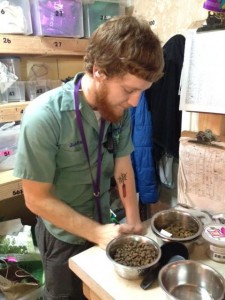 happy hound food prep