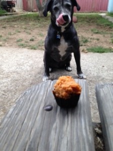 make dog food from scratch