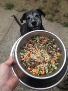 homemade dog food