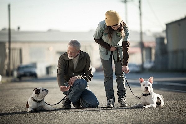 2013_12_happy_hound_0158@2x