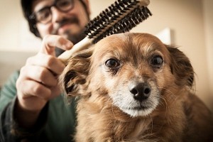 2013_12_happy_hound_0019@2x