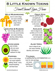 Toxic_substance_graphic