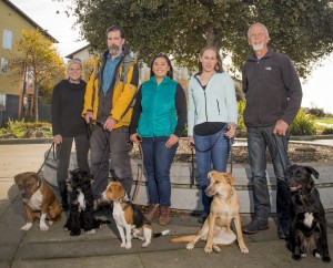 happy hound dog training oakland