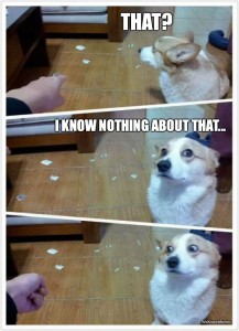 guilty-dog-meme