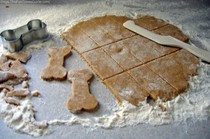bone-shaped-homemade-dog-treats.jpg