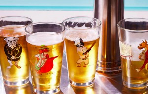 pint-glass-bundle