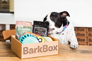barkbox-sub