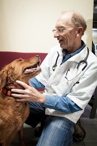 2013_12_happy_hound_0044@2x