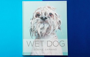 wet-dog-book