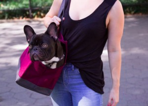 canvas-pet-tote
