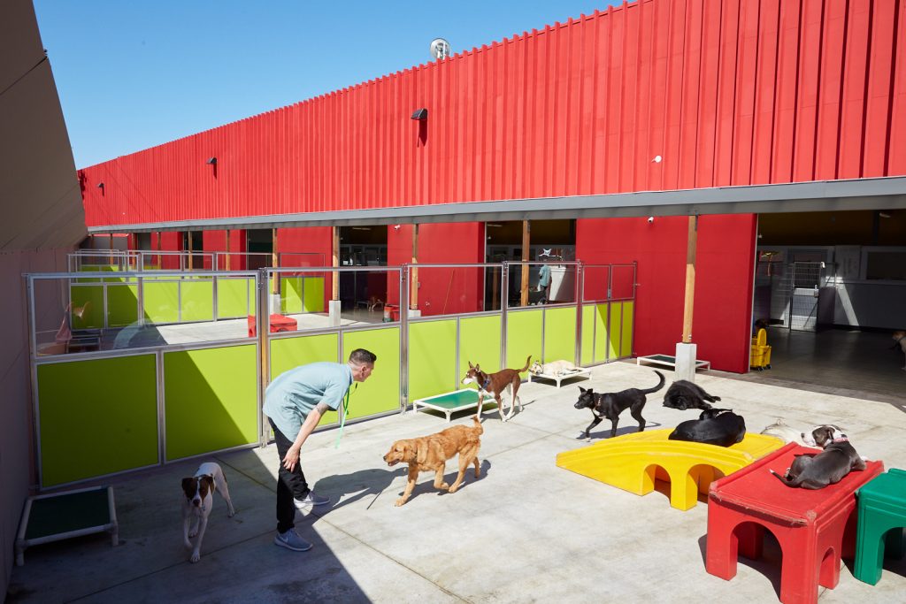 dog daycare with outside play oakland