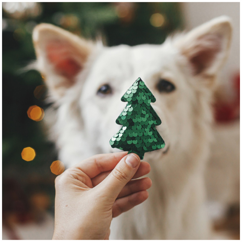 dog with Christmas tree ornament
