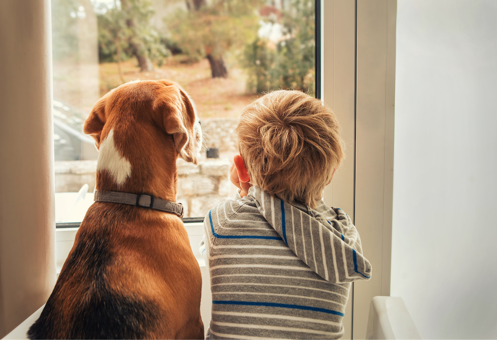 dog and child looking out a window