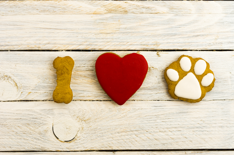 I heart dog treats