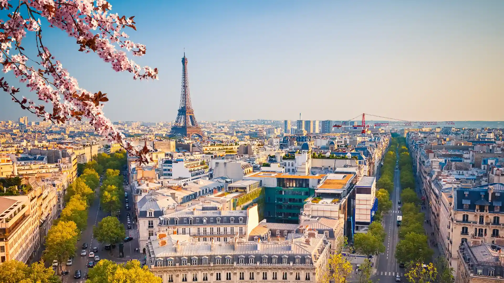 Vue panoramique de Paris avec la Tour Eiffel et des arbres en fleurs au printemps.