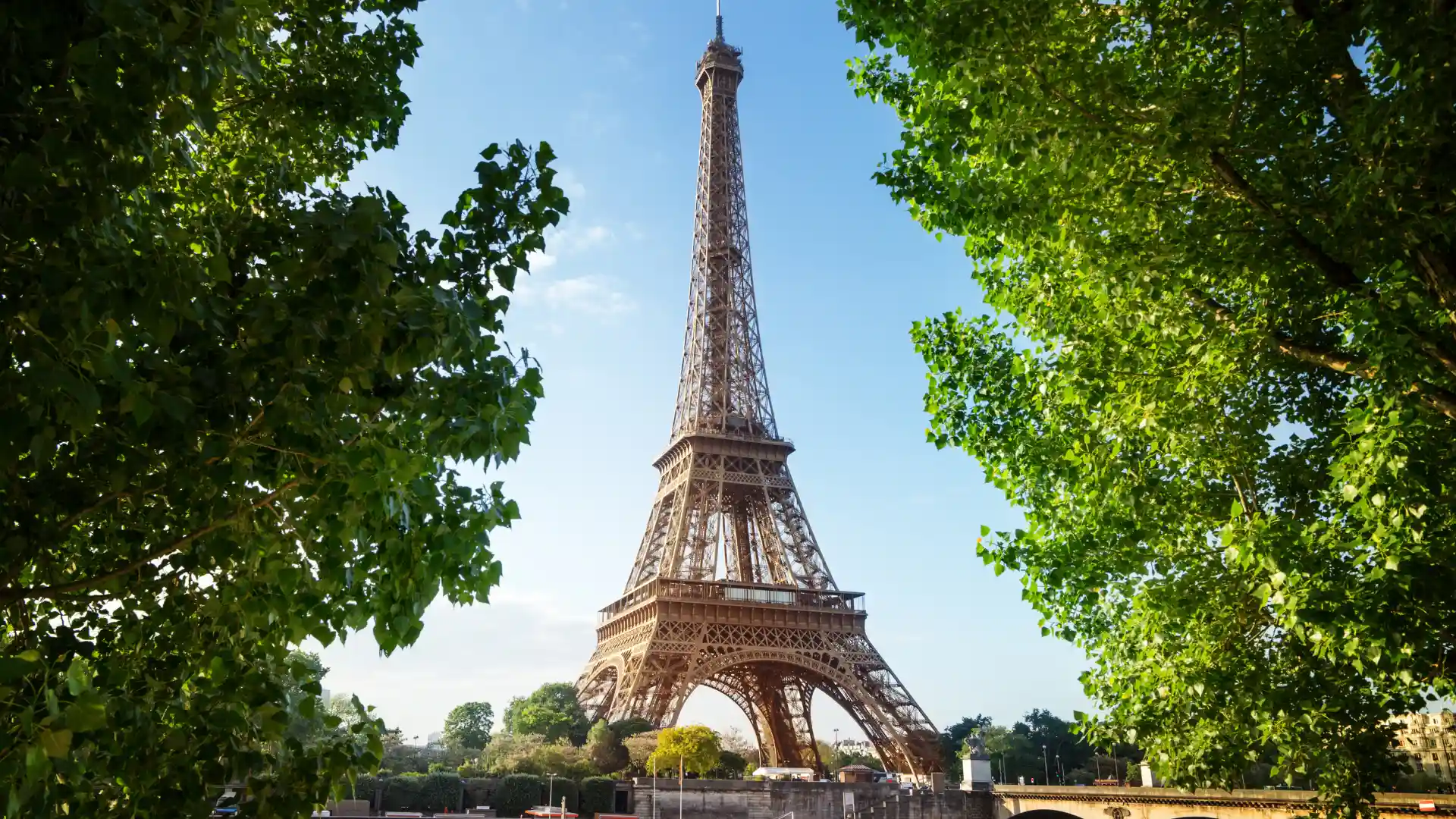 Tour Eiffel entourée de verdure à Paris, cadre prestigieux pour les cliniques esthétiques
